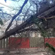 Gentrificación, Zonda y Emergencias