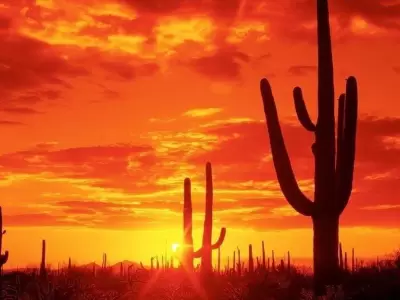 sonora-00-jpg.