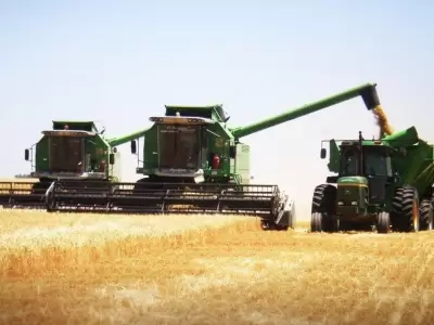 campo-argentino-decreto-impuestos