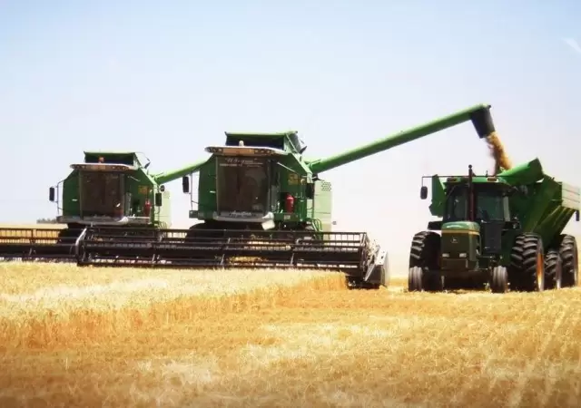 campo-argentino-decreto-impuestos