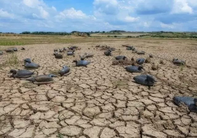 suelo-patos-cambio-climatico-696x462-jpg.