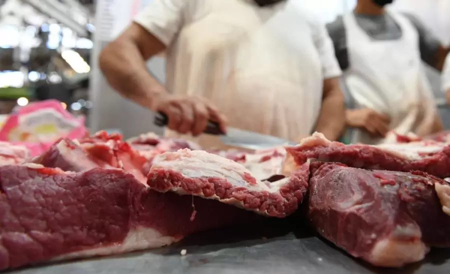 carniceria-jpg.