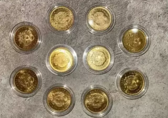 monedas-argentinas-orowebp-jpg-635732622-webp.