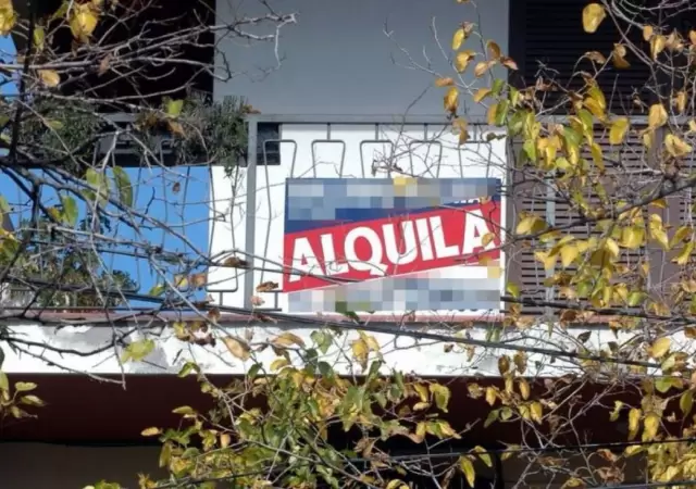 alqui-png.