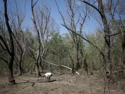 dron-ruso-en-rumania-jpg.