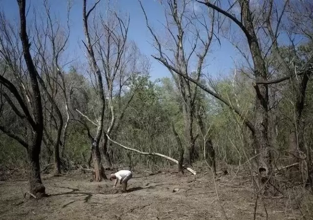 dron-ruso-en-rumania-jpg.