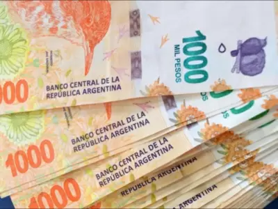 pesos-fci-png.