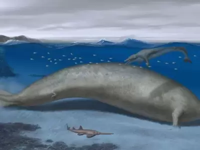 ballenas-perucetus-colosus-ciencia-png.