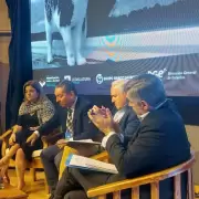 Congreso Internacional de Alfabetización, Lectura y Escritura