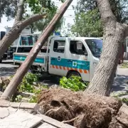 El Zonda m�s fuerte en muchos a�os caus� destrozos, cortes de luz e incendios en el piedemonte