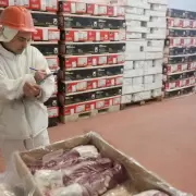La ganader�a se entusiasma con recuperar la gloria de tiempos pasados