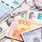 Qu� hacer con los pesos, m�s all� del plazo fijo o el ahorro en d�lares
