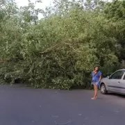 El Zonda e intensas tormentas impactan en distintos sectores de Argentina