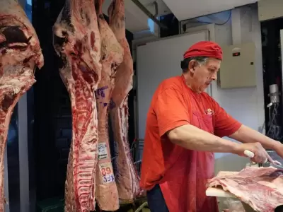 carne-jpg.