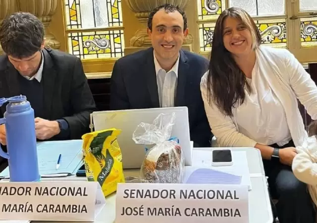 senador-sin-despacho-jpg.