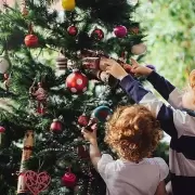 Navidad 2025: El objeto clave que se debe renovar cada a�o del arbolito por seguridad el�ctrica