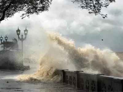 sudestada-jpg.