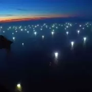 Milei orden� custodiar el Mar Argentino de la pesca ilegal china