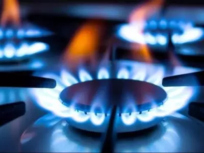 whatsapp-image-2024-01-31-at-12-21-51-jpeg.