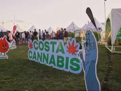 costa-cannabis-mdq-jpg.