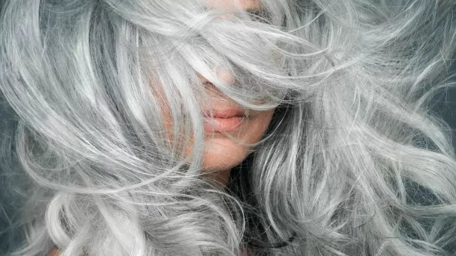 adios-las-canas-getty-imageswebp-jpg.