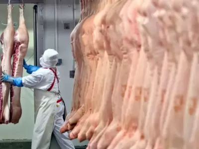 carne-jpeg.