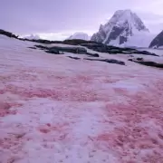 La 'sangre de glaciar': el fen�meno clim�tico que se est� extendiendo