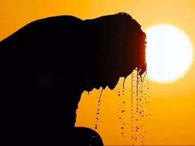 calor-extremo2-jpg.