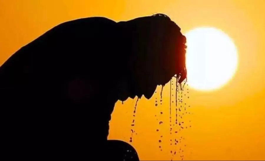 calor-extremo2-jpg.