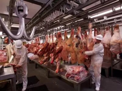 carne-exportaciones-1-jpg.