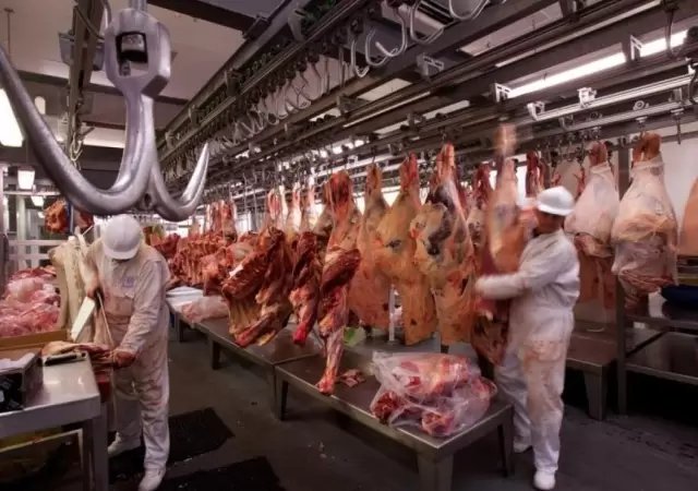 carne-exportaciones-1-jpg.
