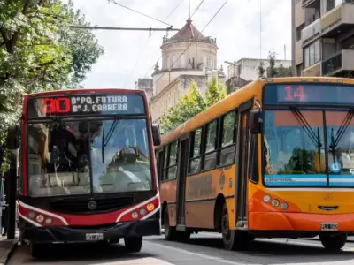 colectivos-jpg.