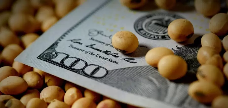 dolar-soja-jpg.
