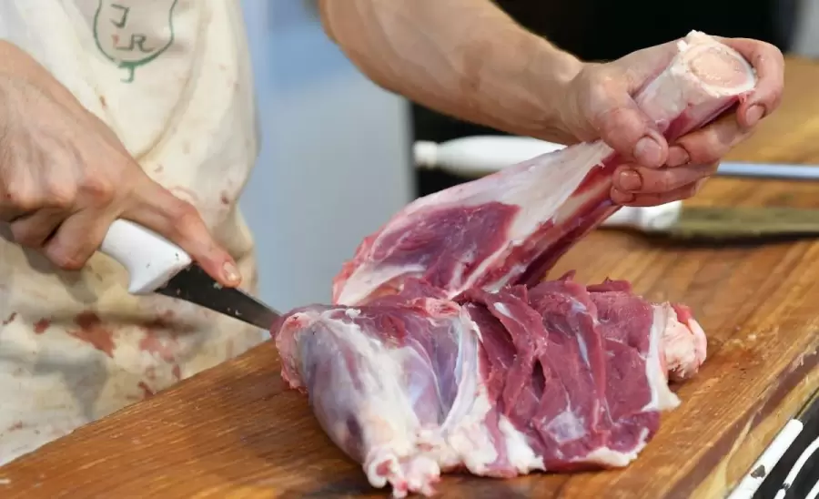 carne-jpg.