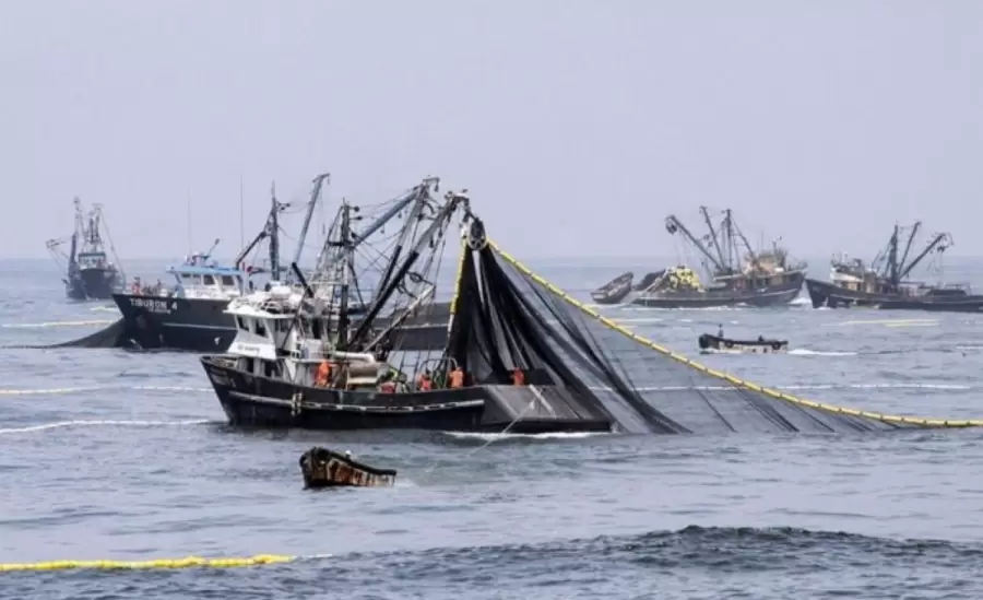 pesca-ilegal-jpg.