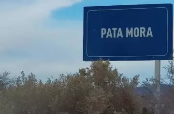 pata-mora-jpg.