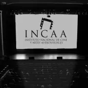 El INCAA enfrenta desaf�os y cambios estructurales
