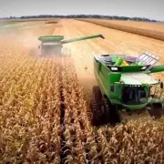 La Justicia respald� a ARBA y rechaz� el pedido de una empresa agropecuaria