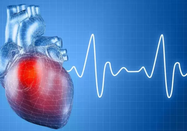 corazon-cardiologia-cuerpo-png.