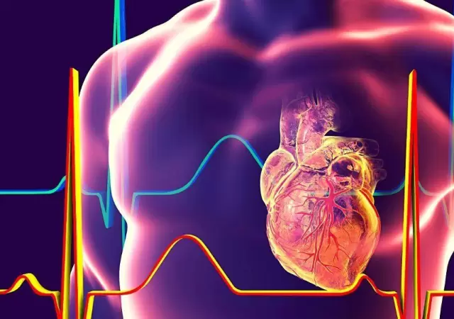 fibrilacion-auricular-corazon-cuerpo-salud-png.