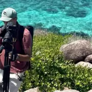 UNESCO: el 70% de los periodistas de medio ambiente son perseguidos