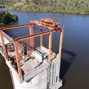 Mendoza y San Luis liberarán aves rescatadas en Desaguadero