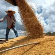 Productores porcinos "les pagan a sus empleados mil d�lares y no les alcanza"