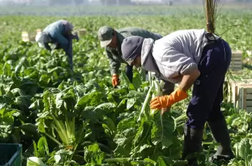 Trabajador rural