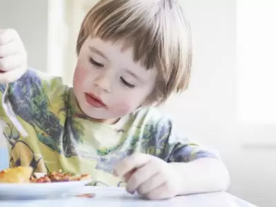 alimentos