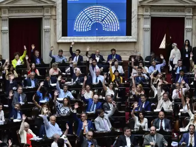 Tratamiento de la Ley Bases en el Congreso Nacional