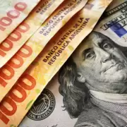 Ir al dlar o guardar pesos?, una cuestin a resolver en la lucha contra la inflacin