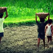 Destacan el trabajo de Argentina en la erradicacin del trabajo infantil