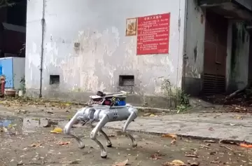 Robot perro