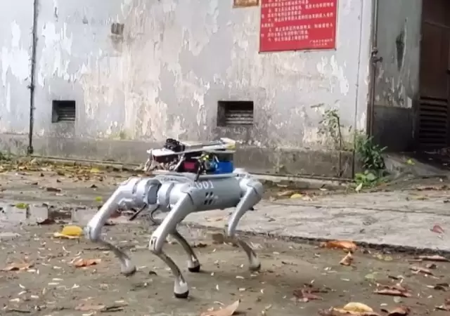 Robot perro